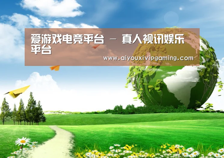 爱游戏娱乐公司