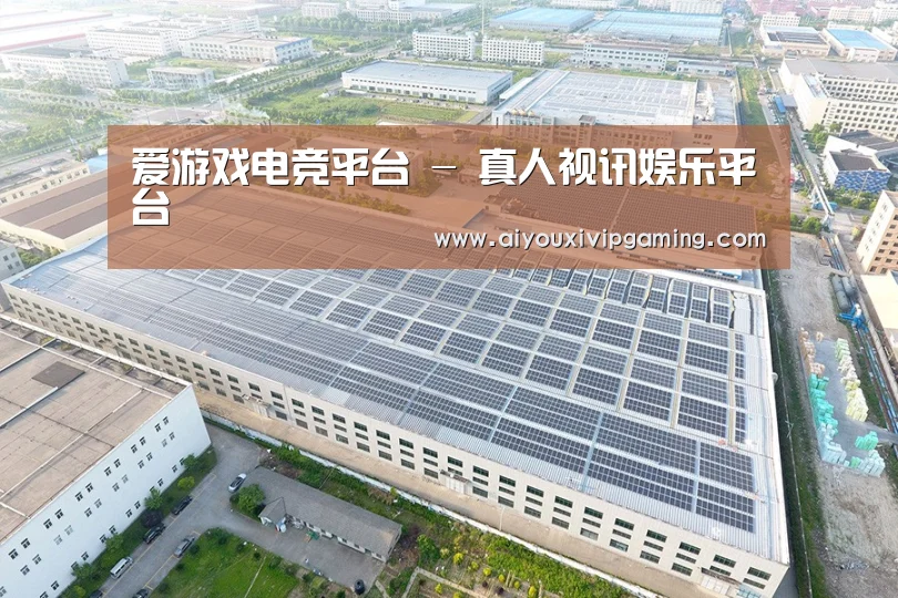 案例展示二