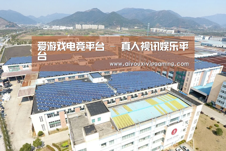 案例展示一