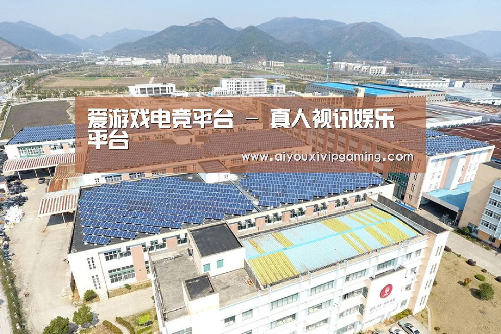 案例展示四