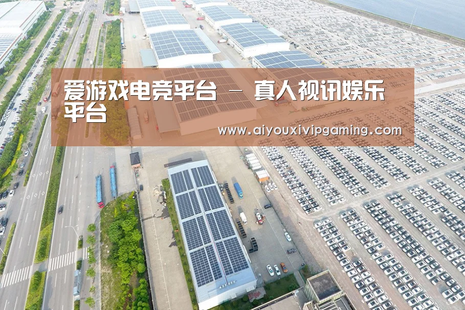 案例展示一