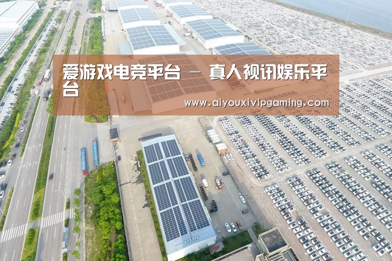 案例展示四