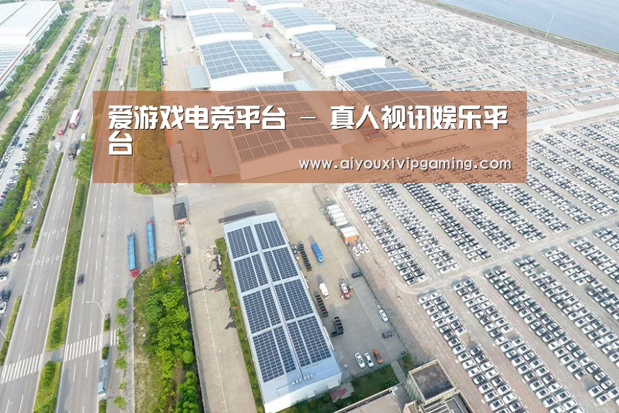 案例展示二
