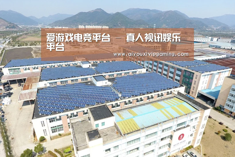 案例展示三