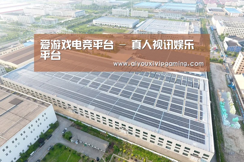 案例展示四